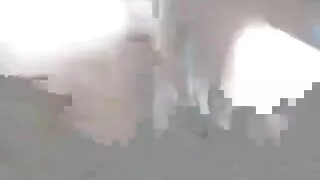 کے طور پر فلیٹ کے طور پر ایک بورڈ سکسي فلم ، سنہرے بالوں والی ، ہو جاتا ہے ، کتا سٹائل پر bunk بستر